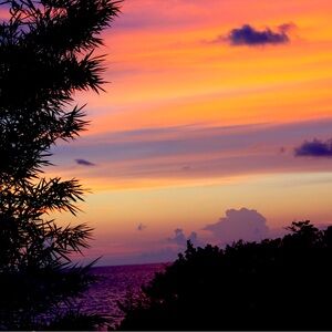 Meet your Posher, Norah